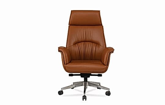 baron müdür koltuk