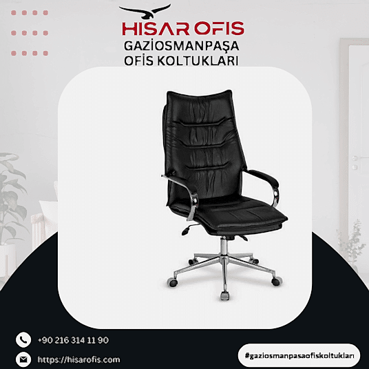 Gaziosmanpaşa Ofis Koltukları